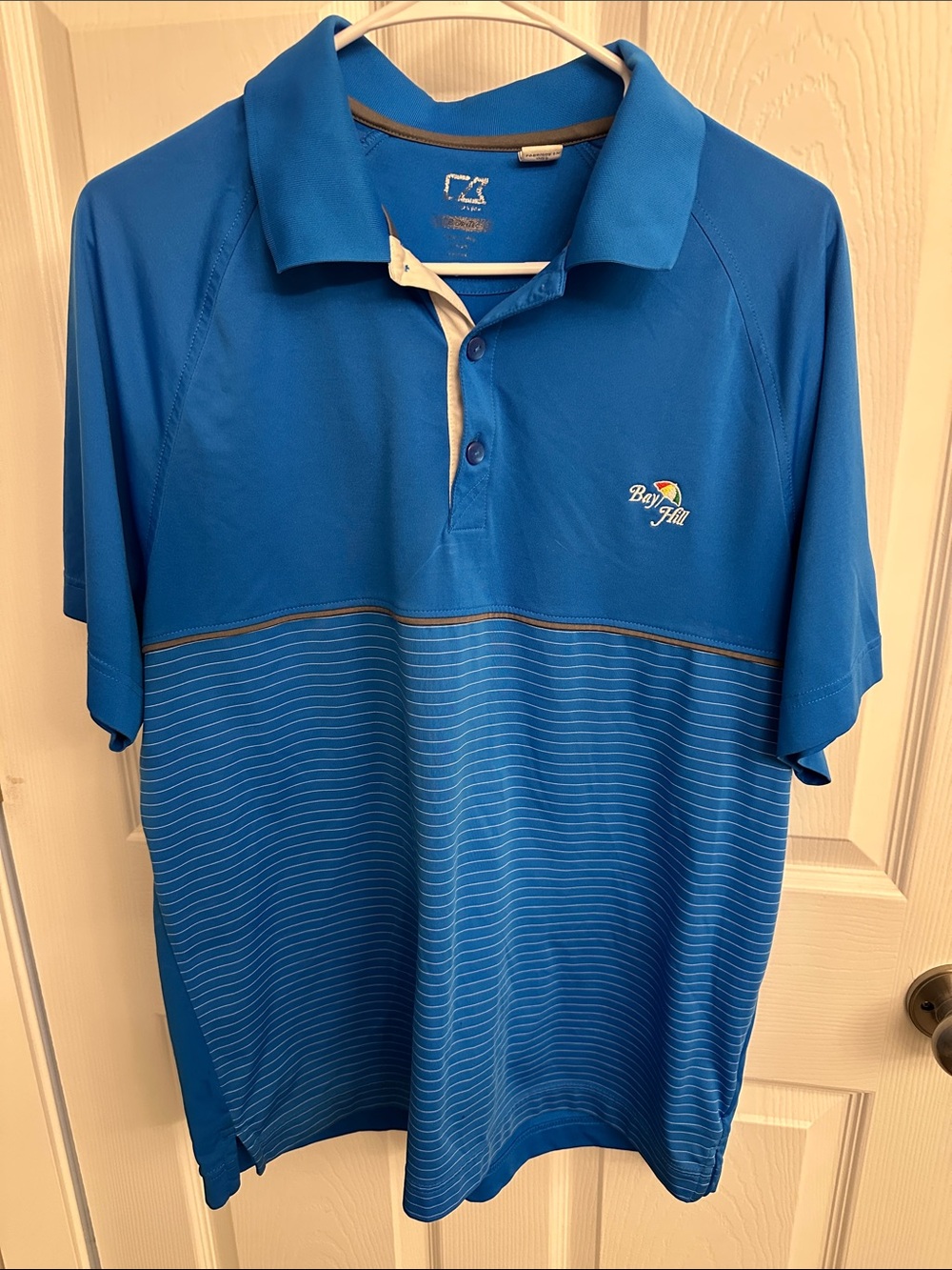 Bayhill Arnold Palmer Blue Striped Golf Polo